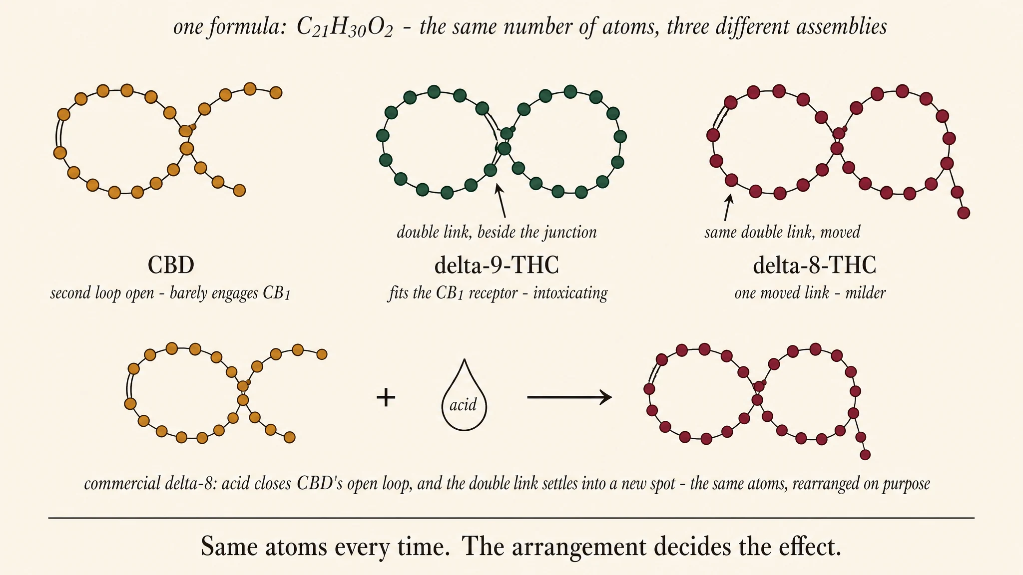Three necklace-like diagrams built from identical beads: CBD with its second loop hanging open; delta-9-THC fully closed with a double link beside the loop junction; delta-8-THC fully closed with the same double link moved along the loop. Below, a conversion: CBD plus a drop of acid becomes delta-8 - the open loop closes and the double link settles into a new spot.